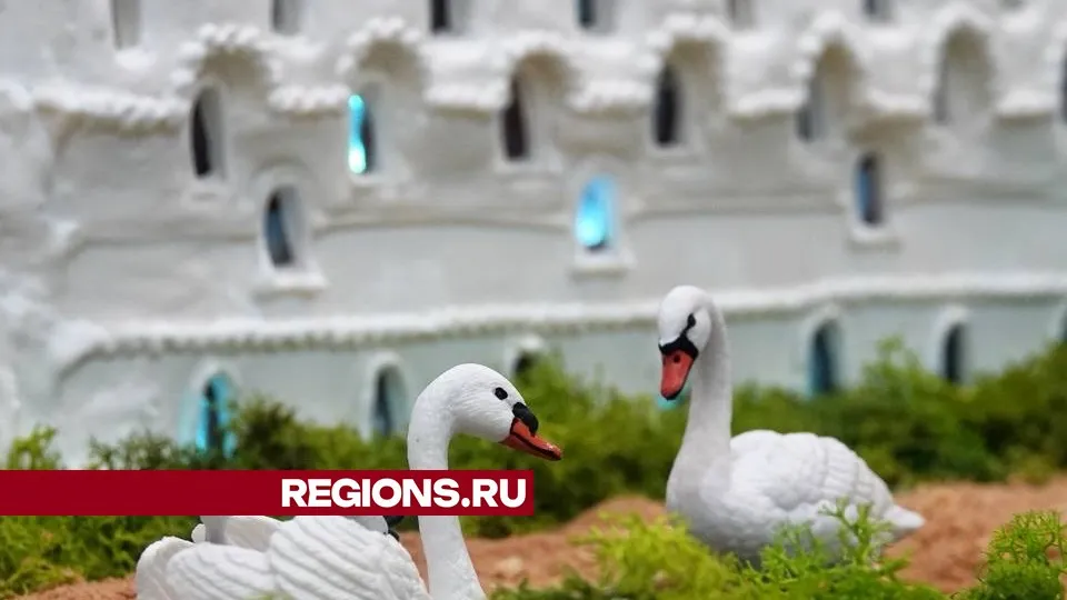 Фото: Дарья Леонова