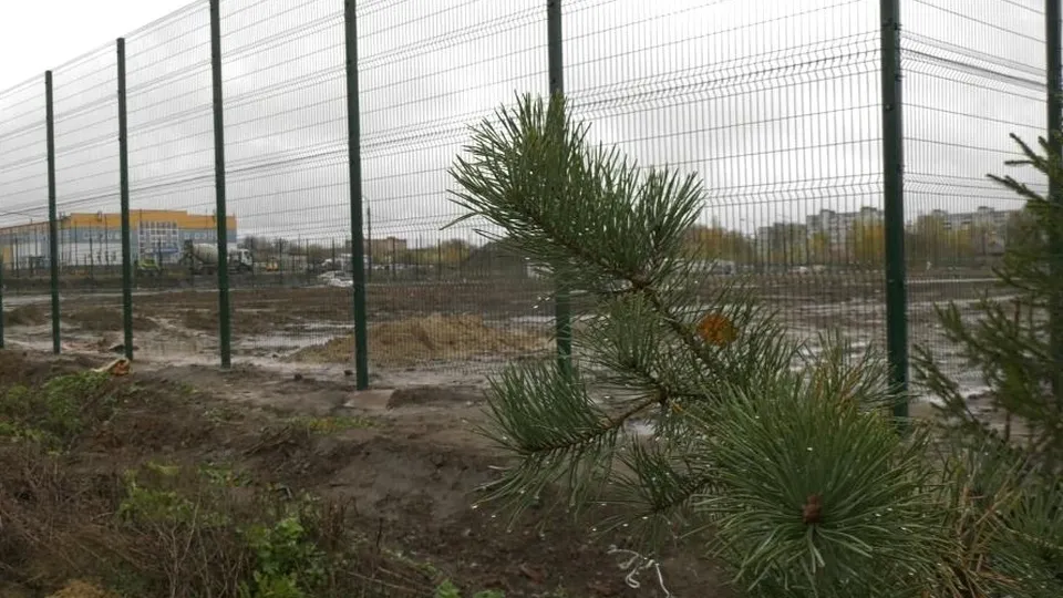 Фото:пресс-служба администрации муниципального округа Егорьевск