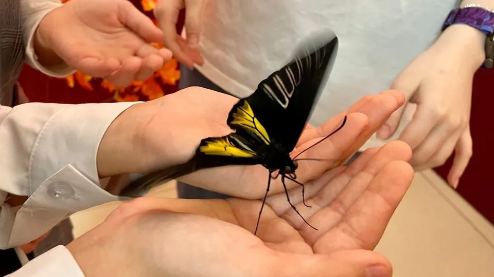 Фото: Администрация г.о. Реутов