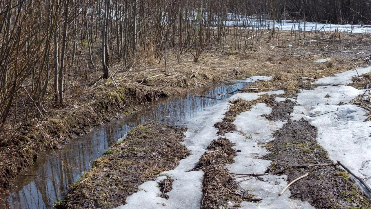 istockphoto.com/Argument