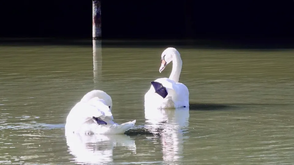 Фото: Дарья Леонова