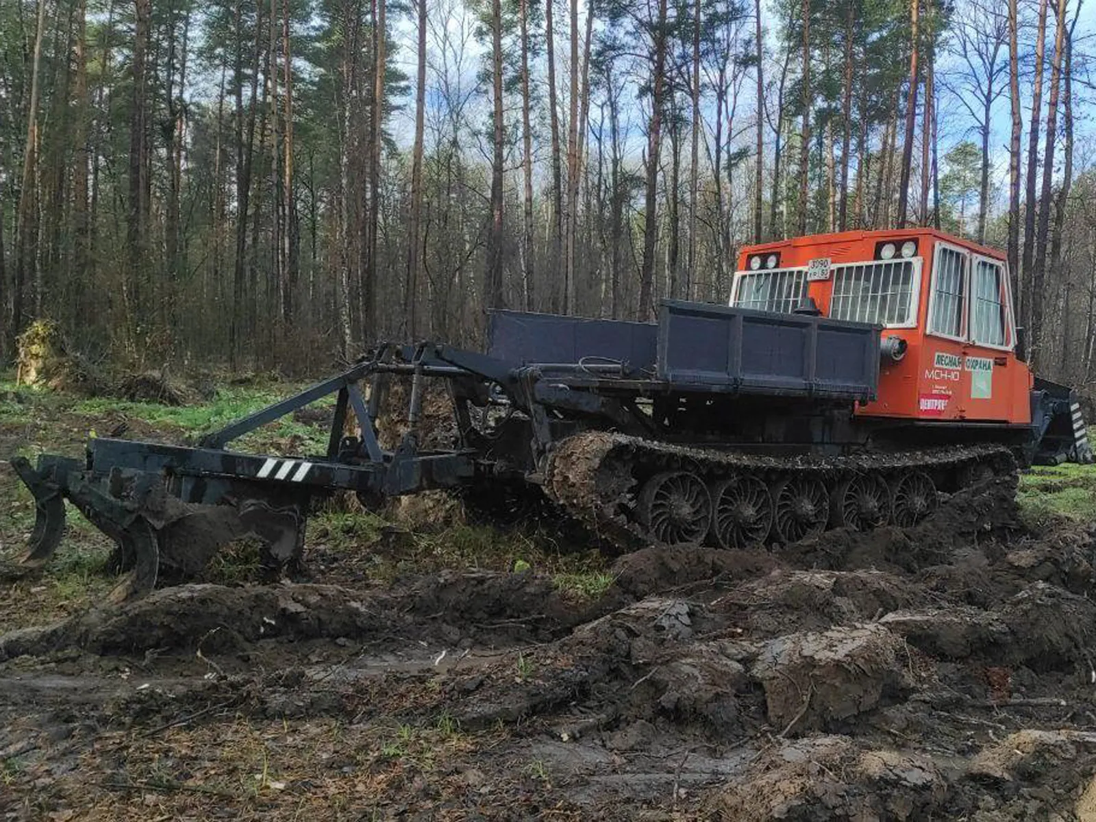Фото: Комитет лесного хозяйства МО