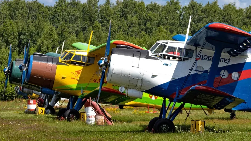 Фото: Анатолий Сергунин