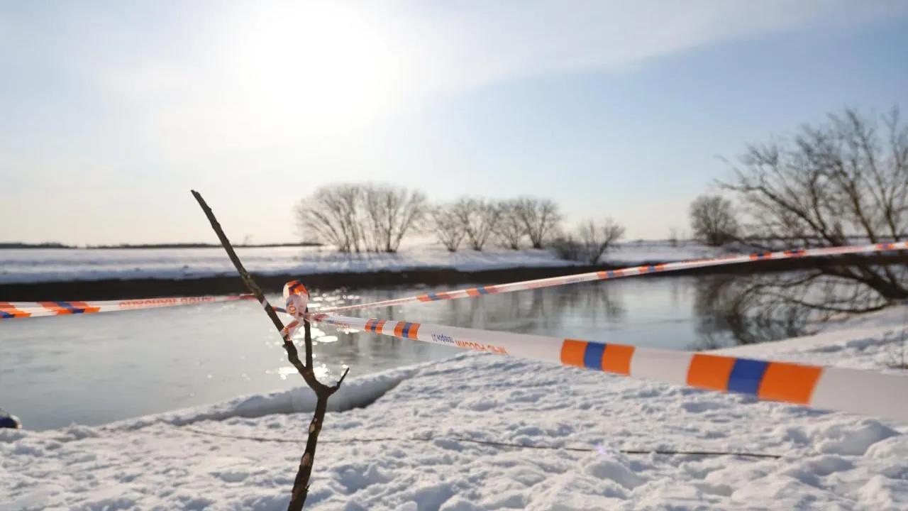 пресс-служба администрации Одинцовского г.о.