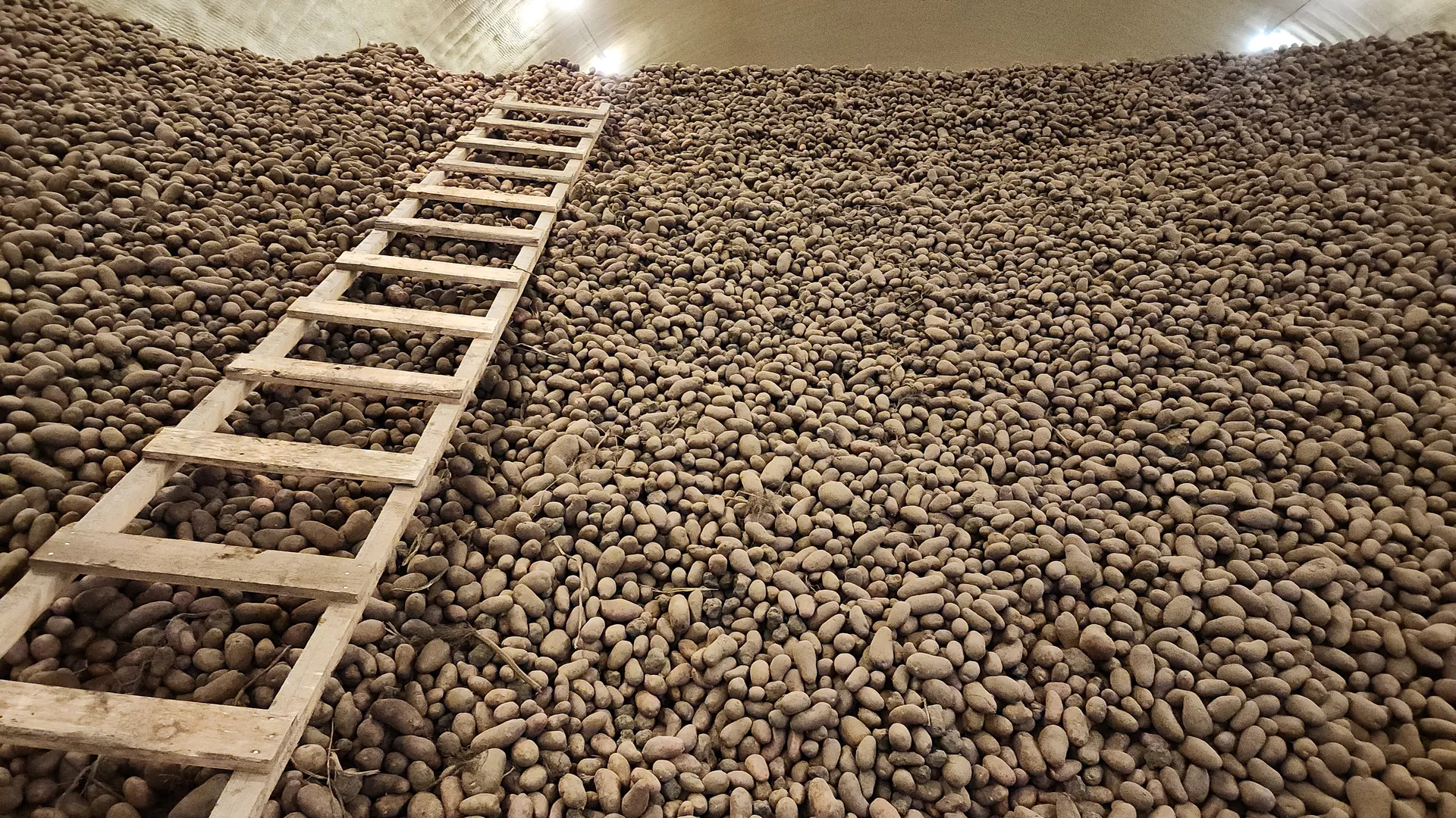 Фото: МедиаБанк Подмосковья/В. Соловьева