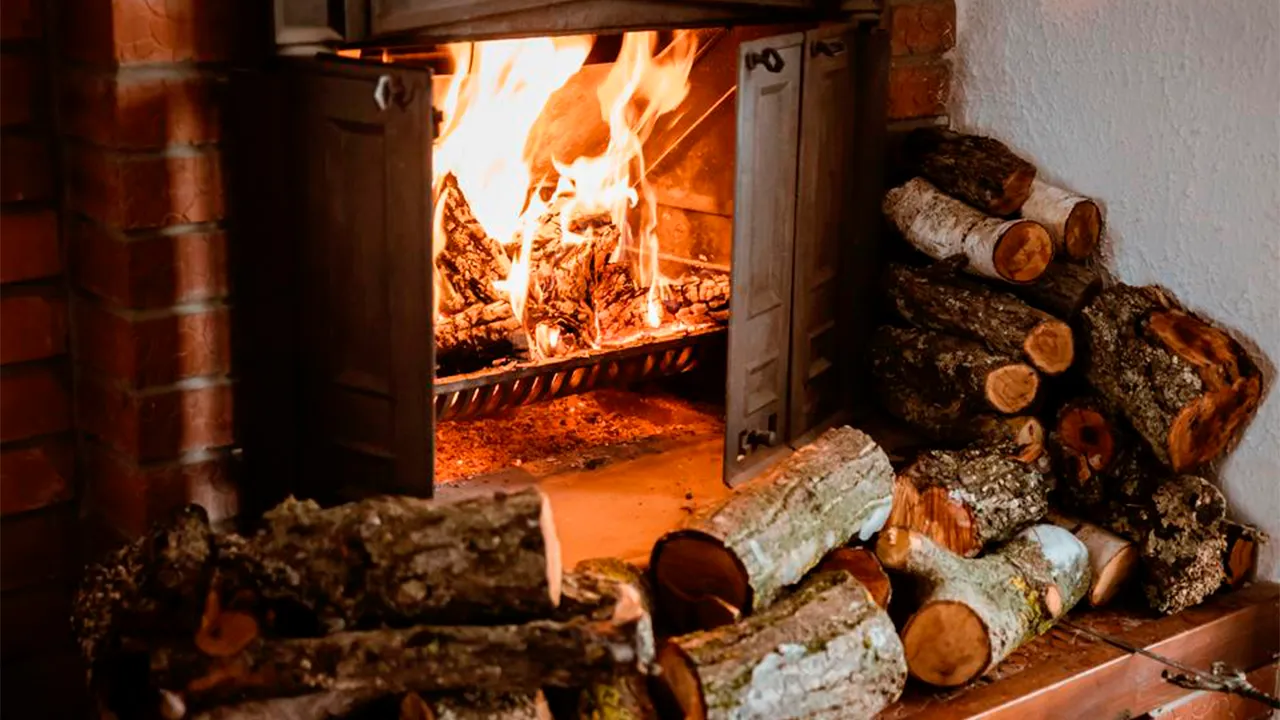 Фото: istockphoto.com/PhotoLife94