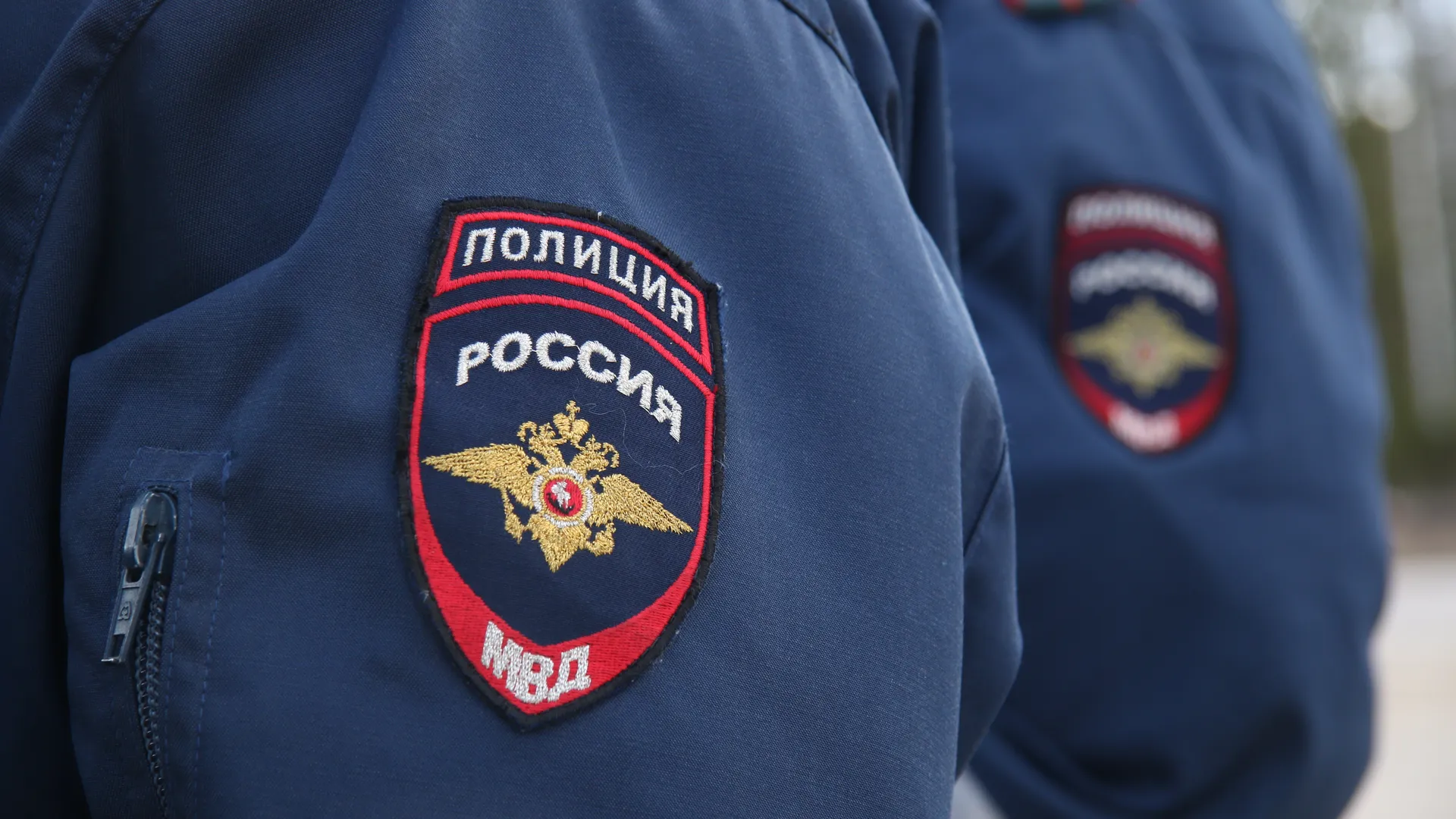 Дубненская полиция