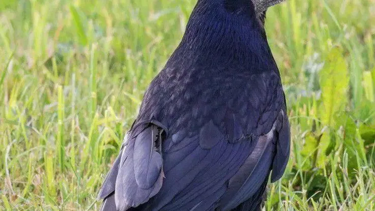 Юрий Подвербный