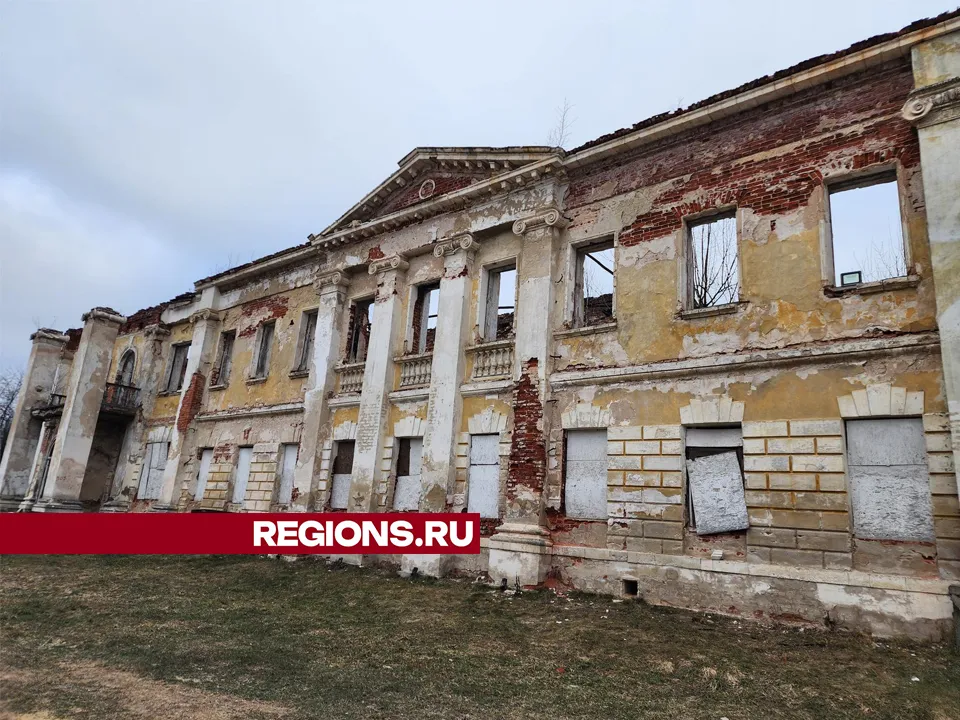 Фото: REGIONS/Наталья Дорошева