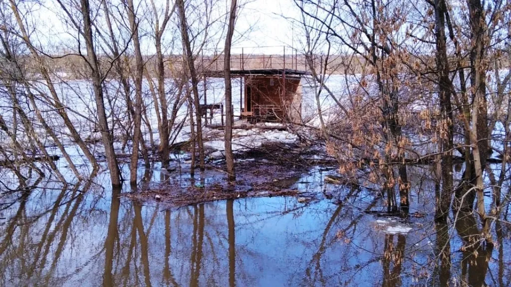 Фото: Тг-канал «Кашира»