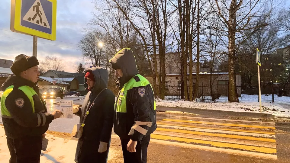 Фото: vk.com/ОМВД России по Можайскому г.о.