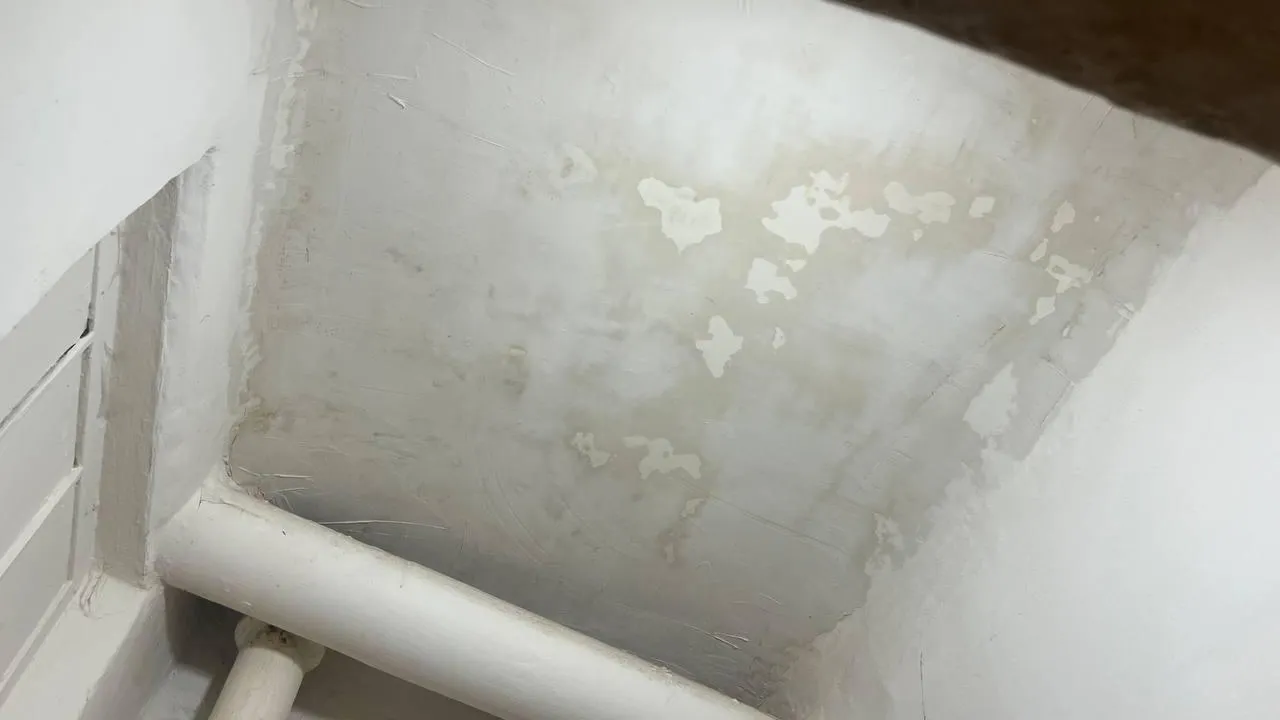 Источник фото: Фатима Газалиева