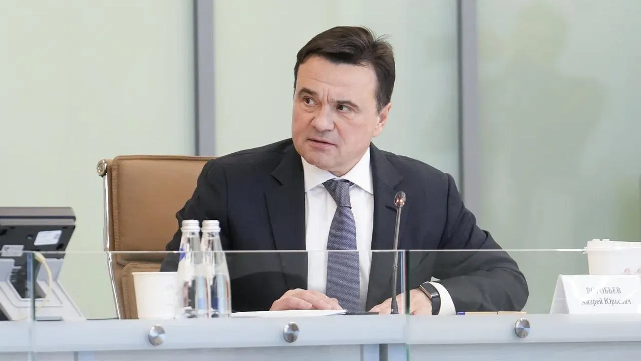 пресс-служба губернатора и правительства Московской области/Екатерина Агеева