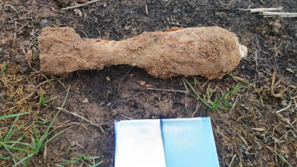 Фото: ГКУ МО «Мособлпожспас»