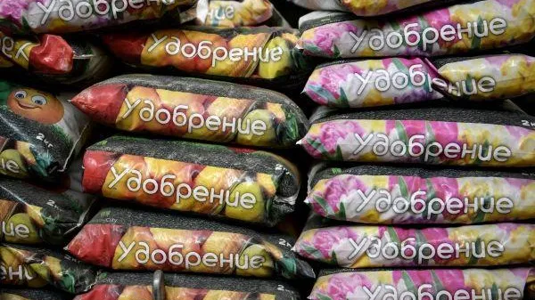 Алексей Филиппов / РИА Новости