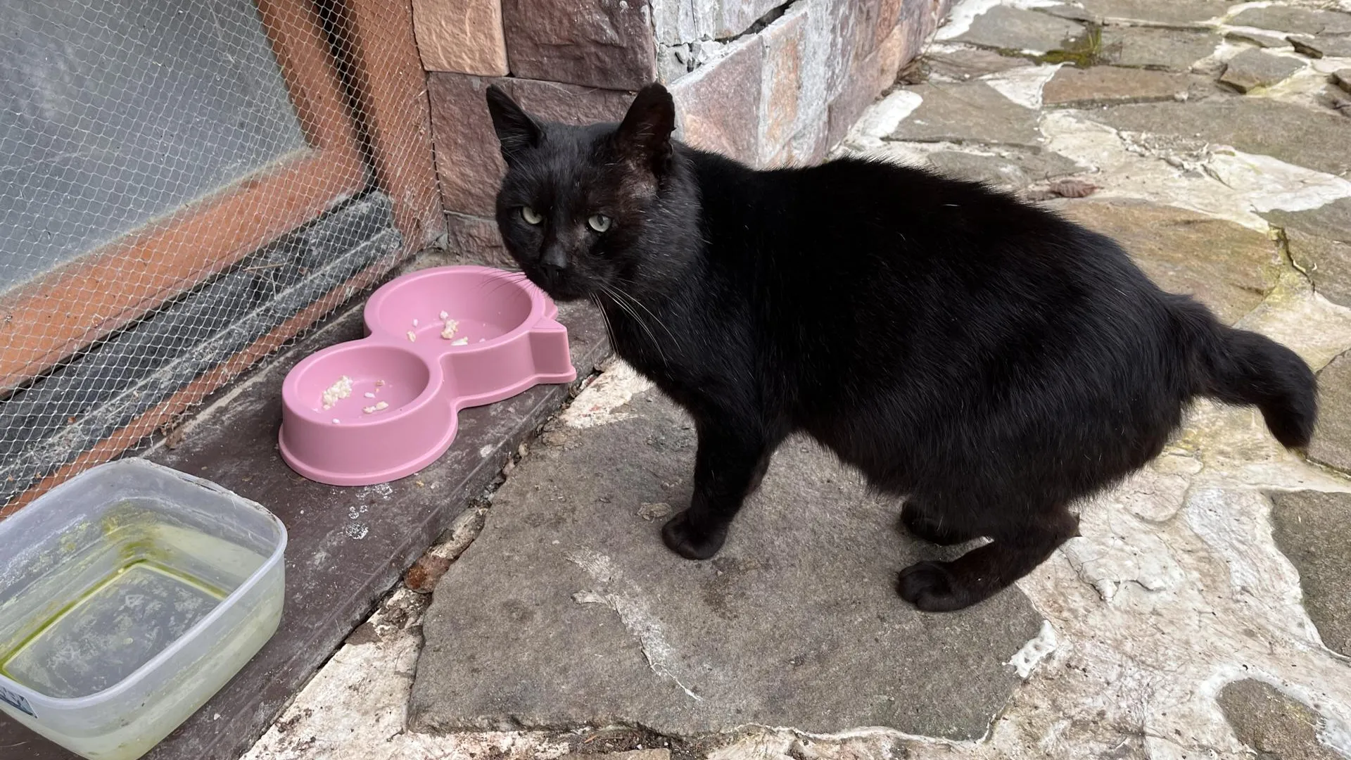 Татьяна Рунова