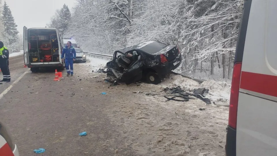 Фото: ГКУ МО «Мособлпожспас»