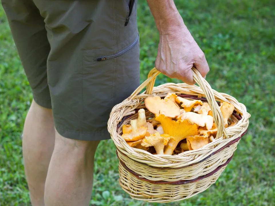 Фото: istockphoto.com