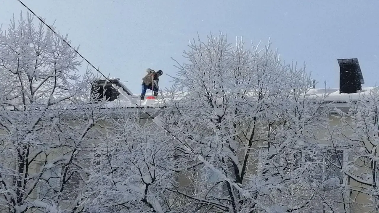МедиаБанк Подмосковья/Анастасия Новак