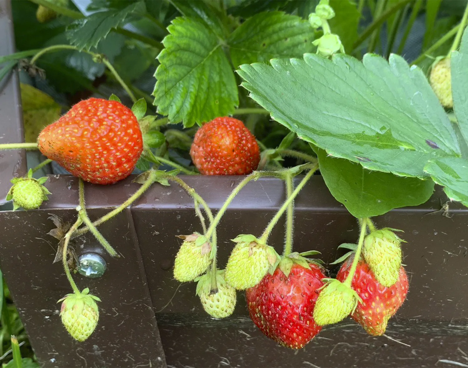 Фото: Екатерина Елисеева