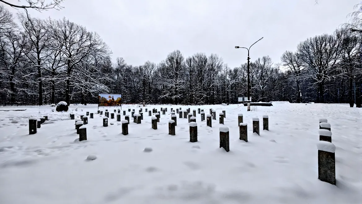 Фото: t.me/lytkarinoonline