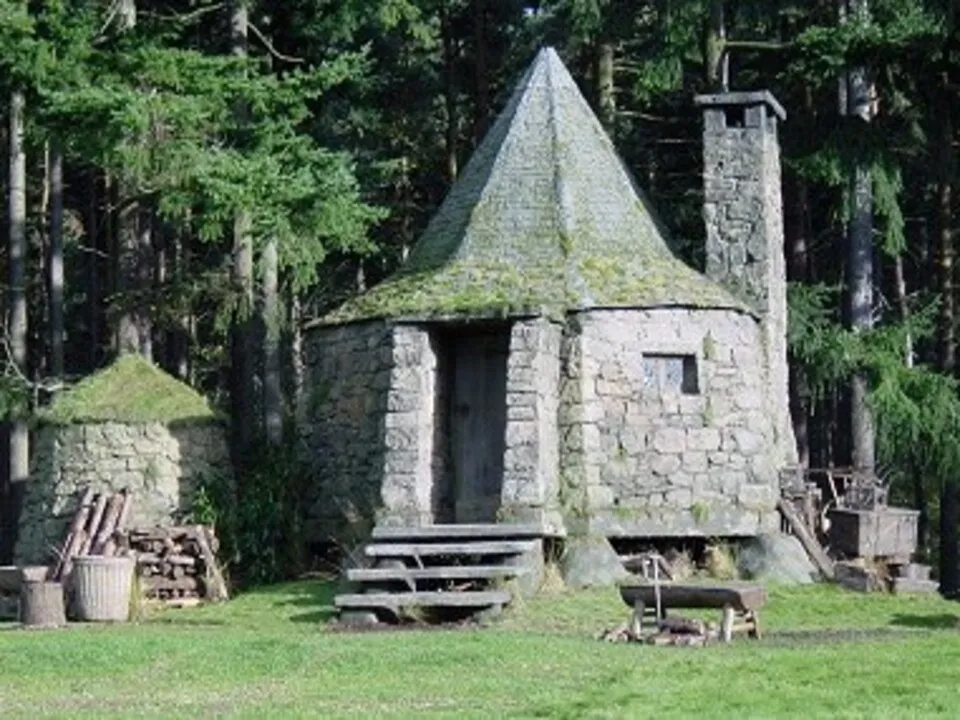 Фото: Википедия&nbsp;