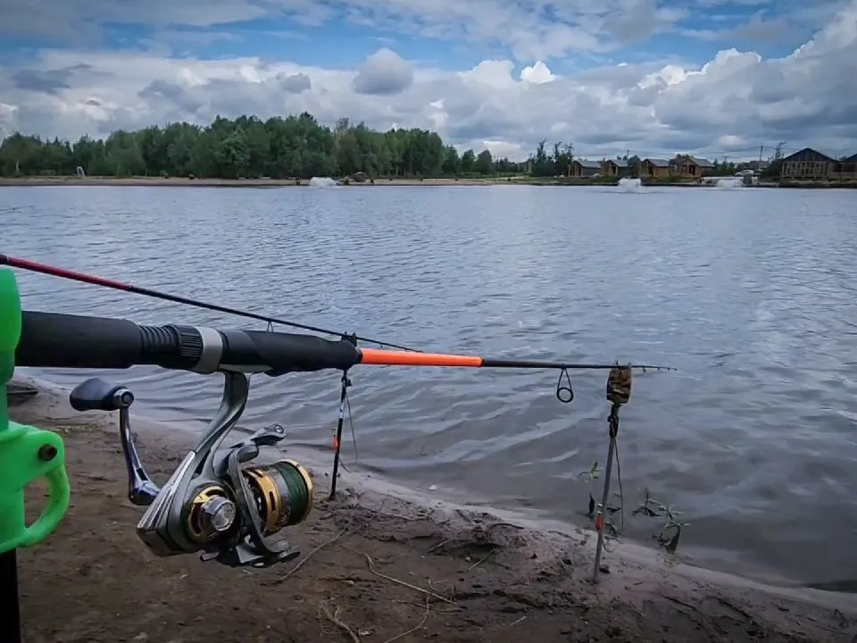 Фото: МедиаБанк Подмосковья/Ольга Антонова
