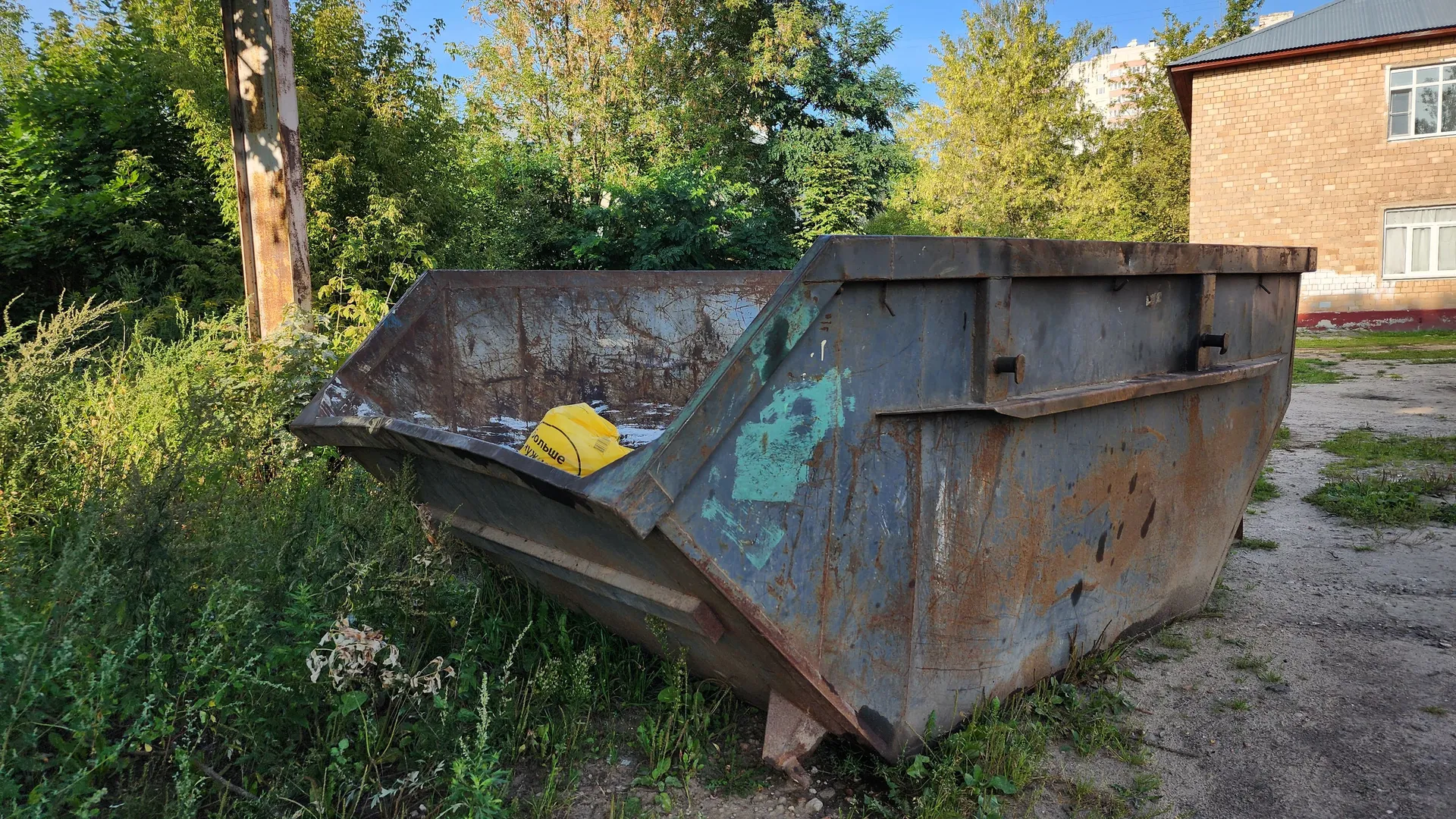Фото: МедиаБанк Подмосковья/Ксения Пашуто