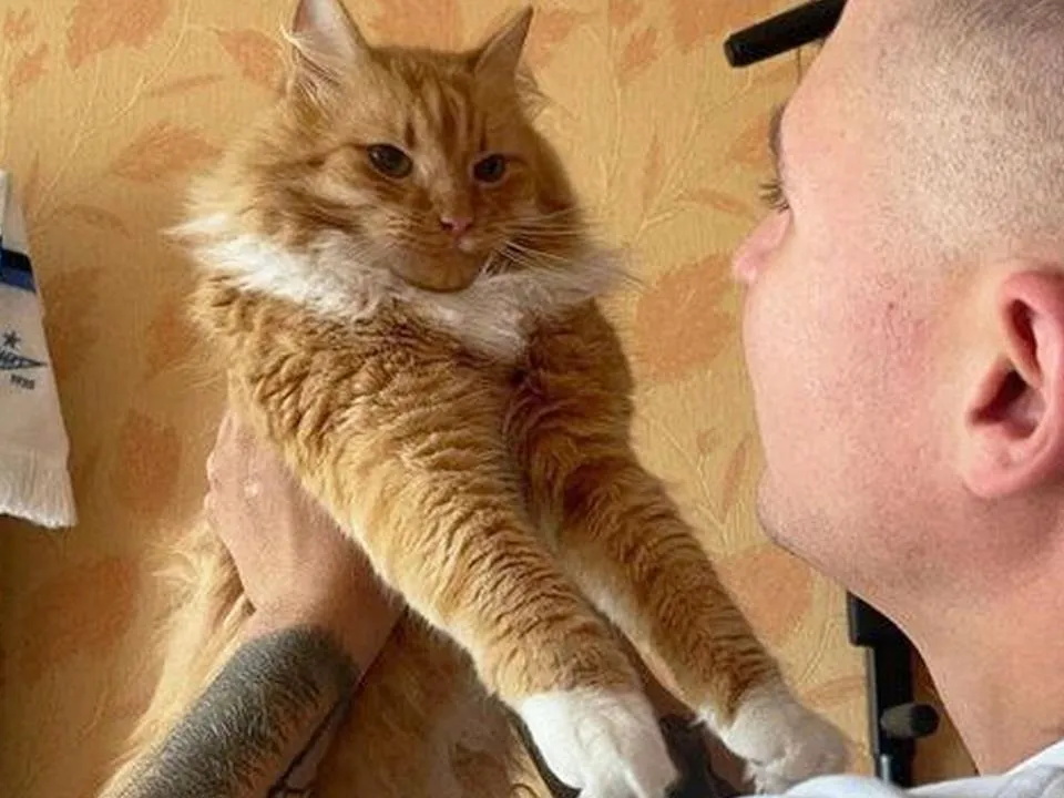 «Меня бешенство охватило»: хозяин кота, который забаррикадировался в квартире, раскрыл причины «конфликта»