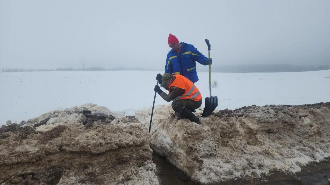 МедиаБанк Подмосковья/Дмитрий Беденко