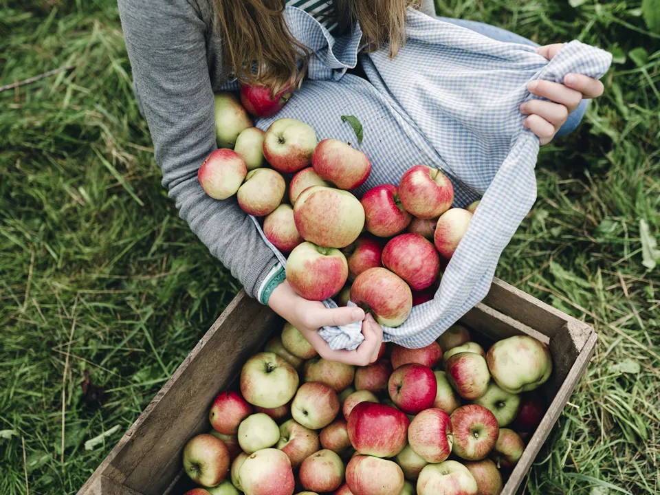 Фото: istockphoto.com