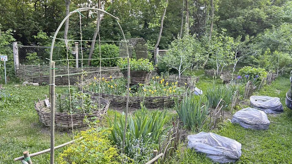 Фото: пресс-служба администрации г.о. Королев