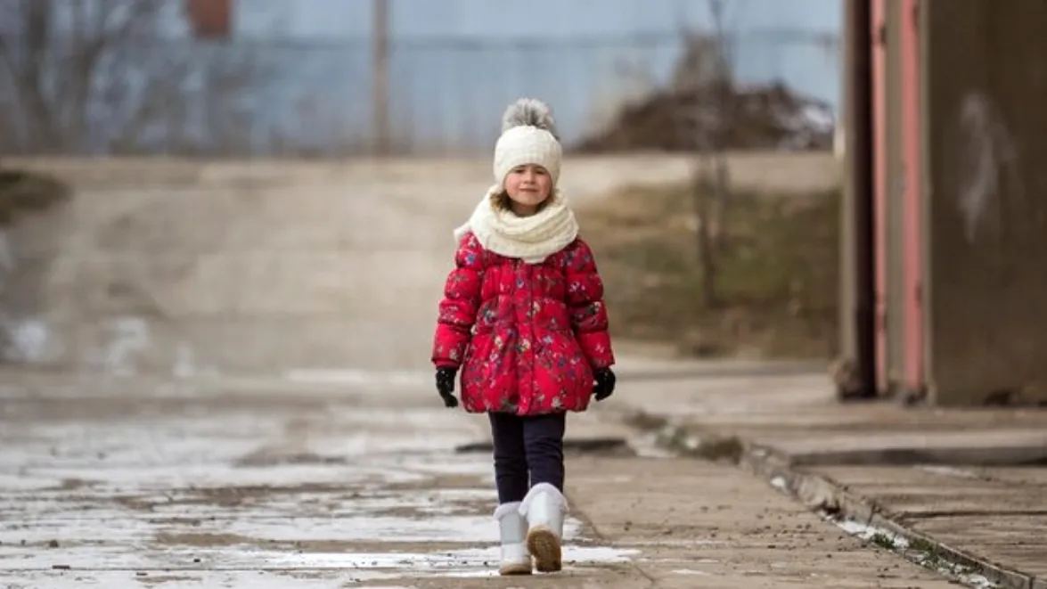 Фото: freepik.com