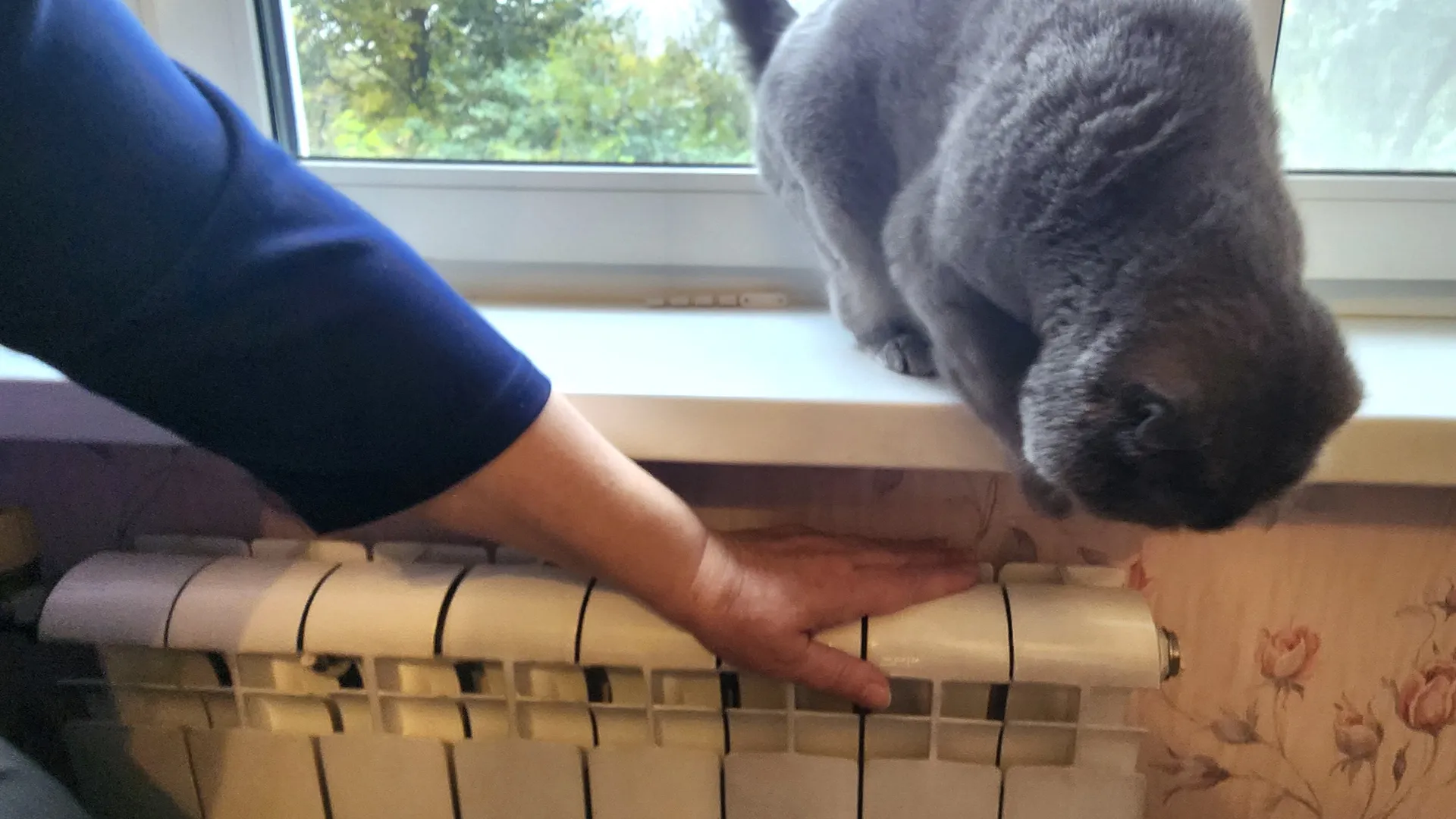 Фото: медиасток.рф