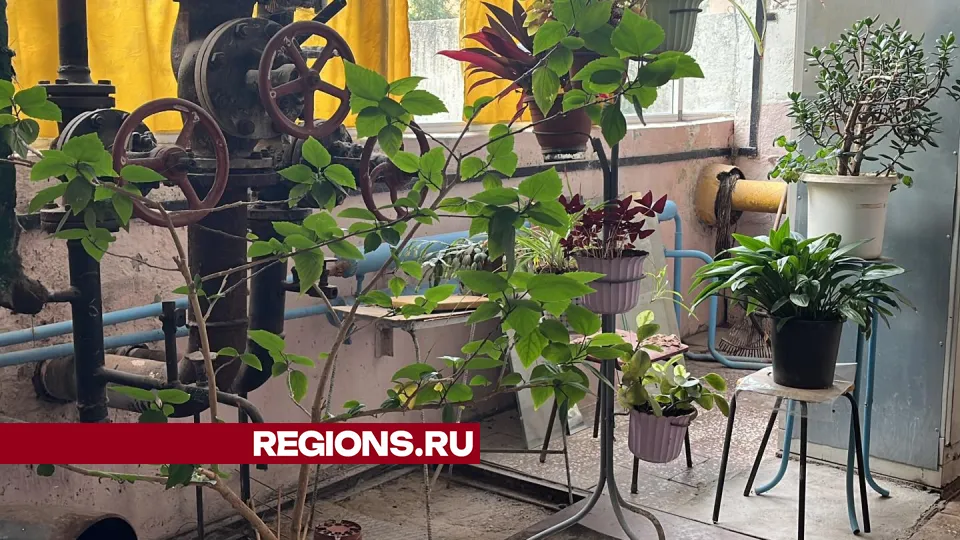 Фото: Наталья Котова