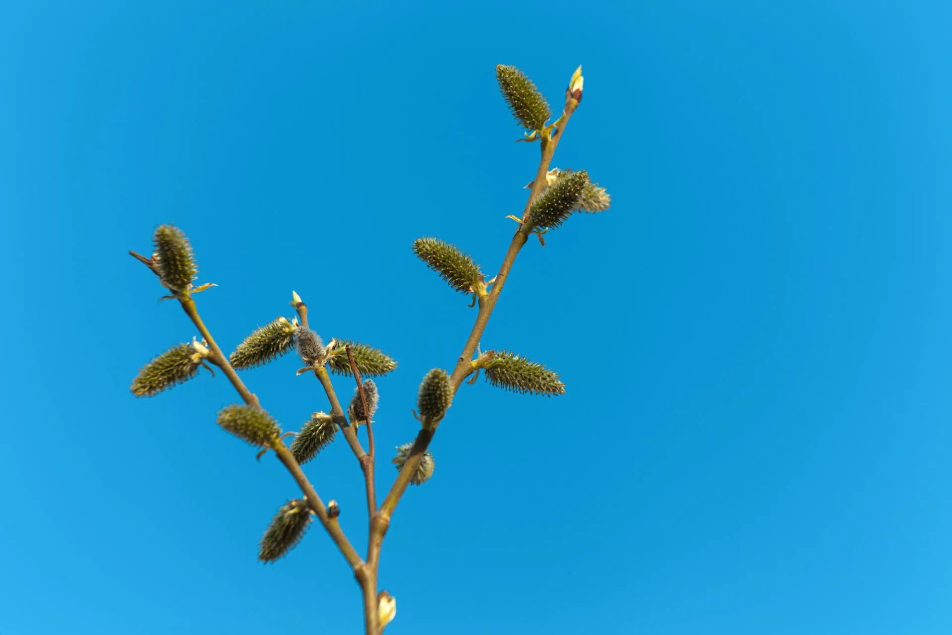 медиасток.рф