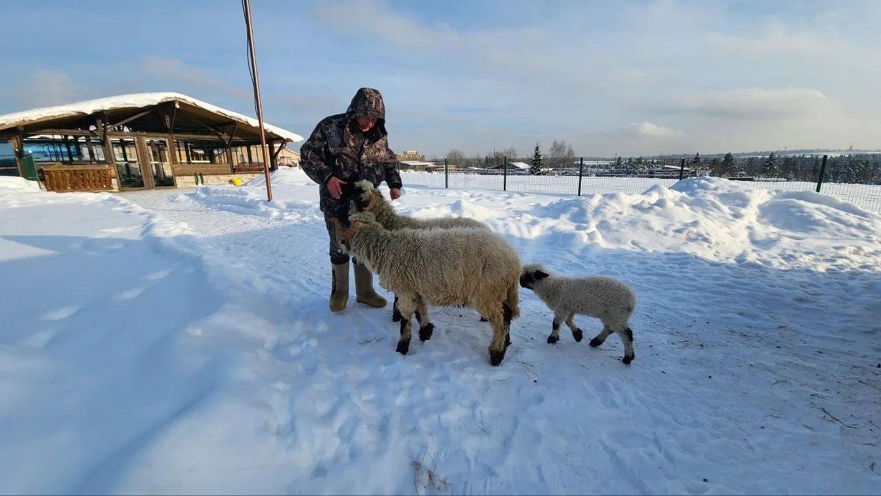 REGIONS/Евгений Рой