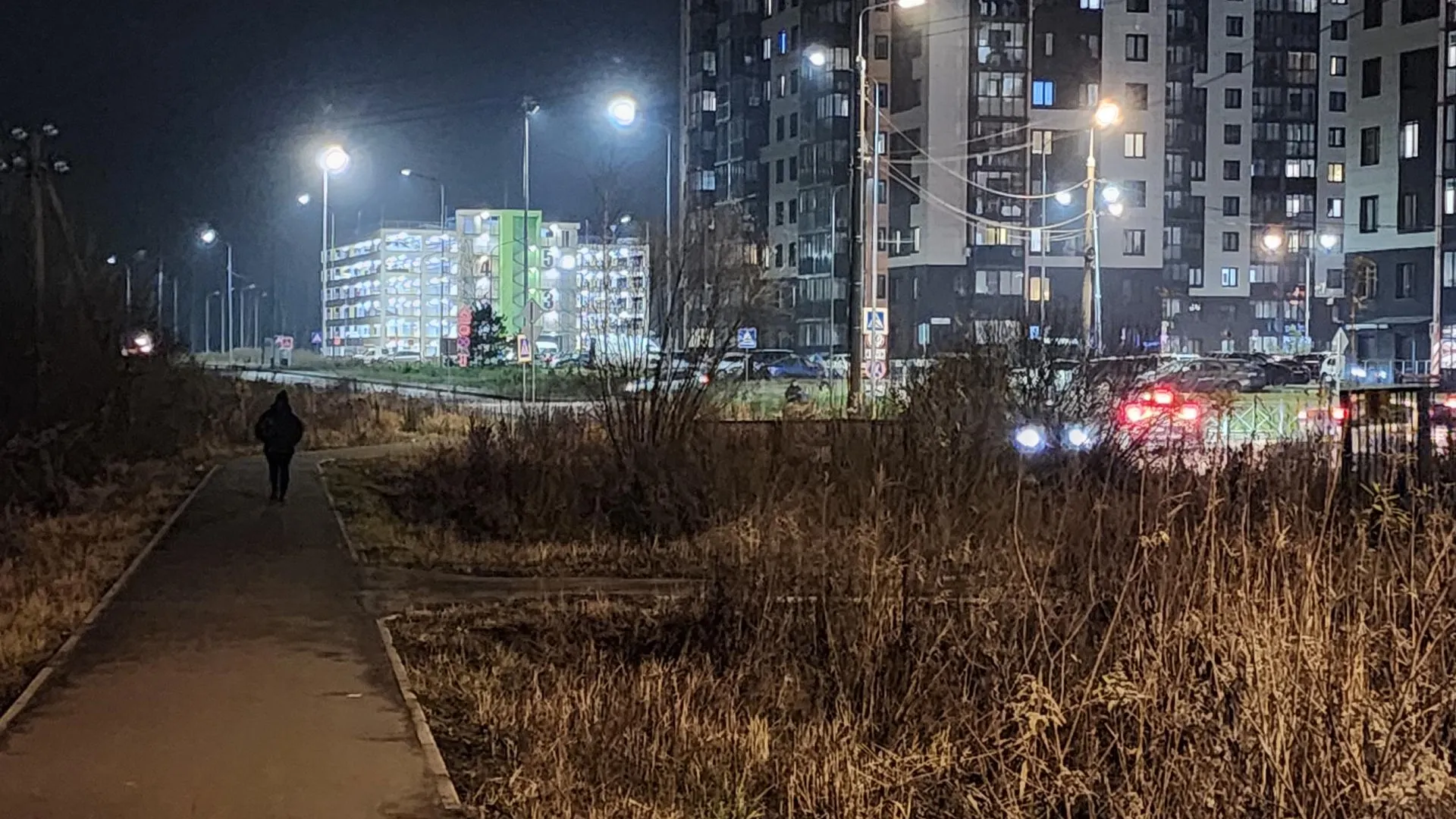 Фото: МедиаБанк Подмосковья/Ирина Моисеева