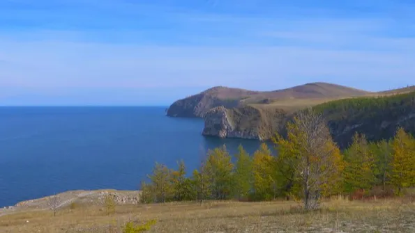 Фото: ru.freepik.com