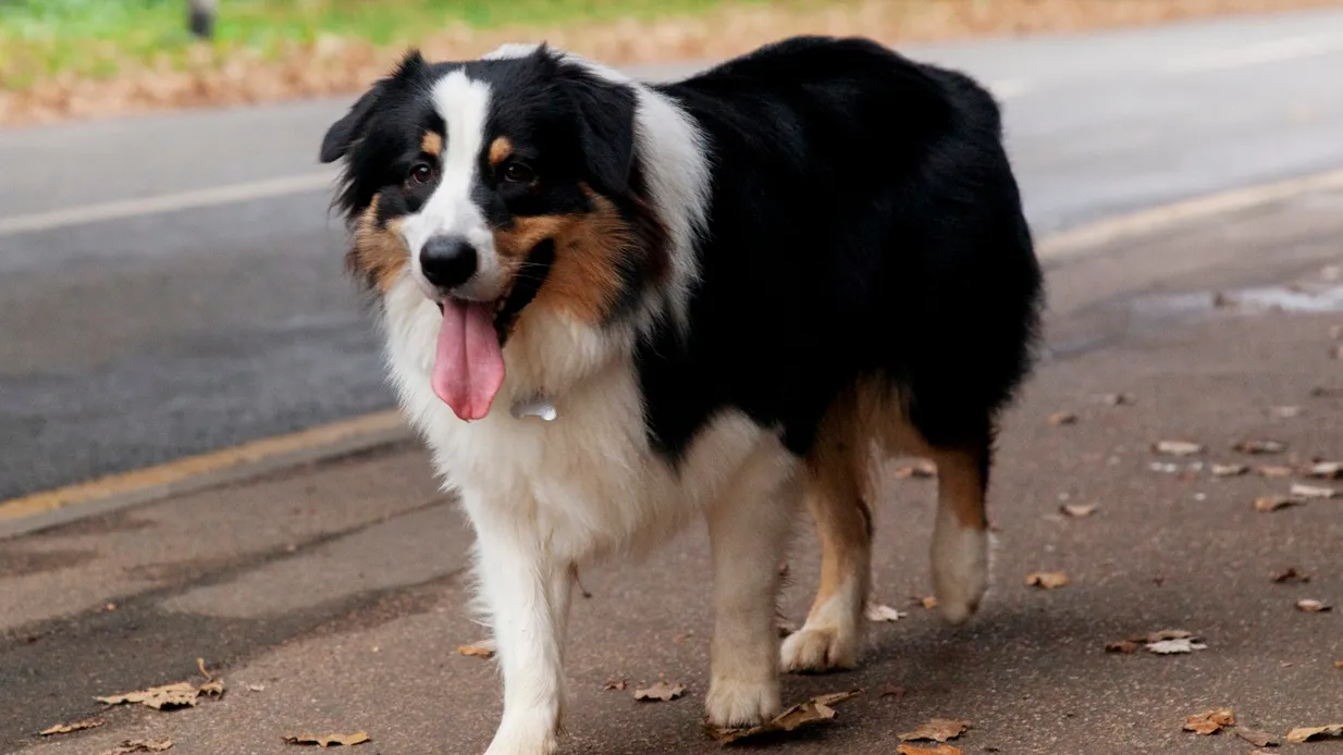 Фото: freepik.com