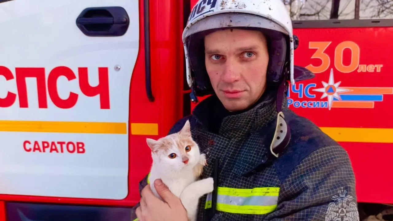 Фото: пресс-служба МЧС России