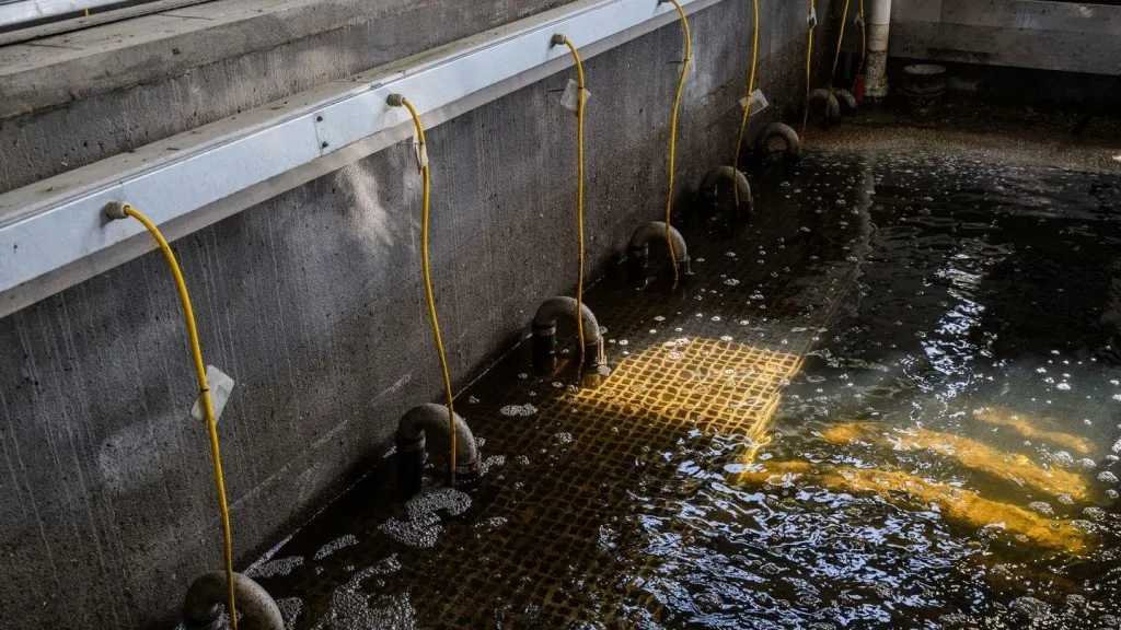 Фото: пресс-служба администрации г.о. Зарайск