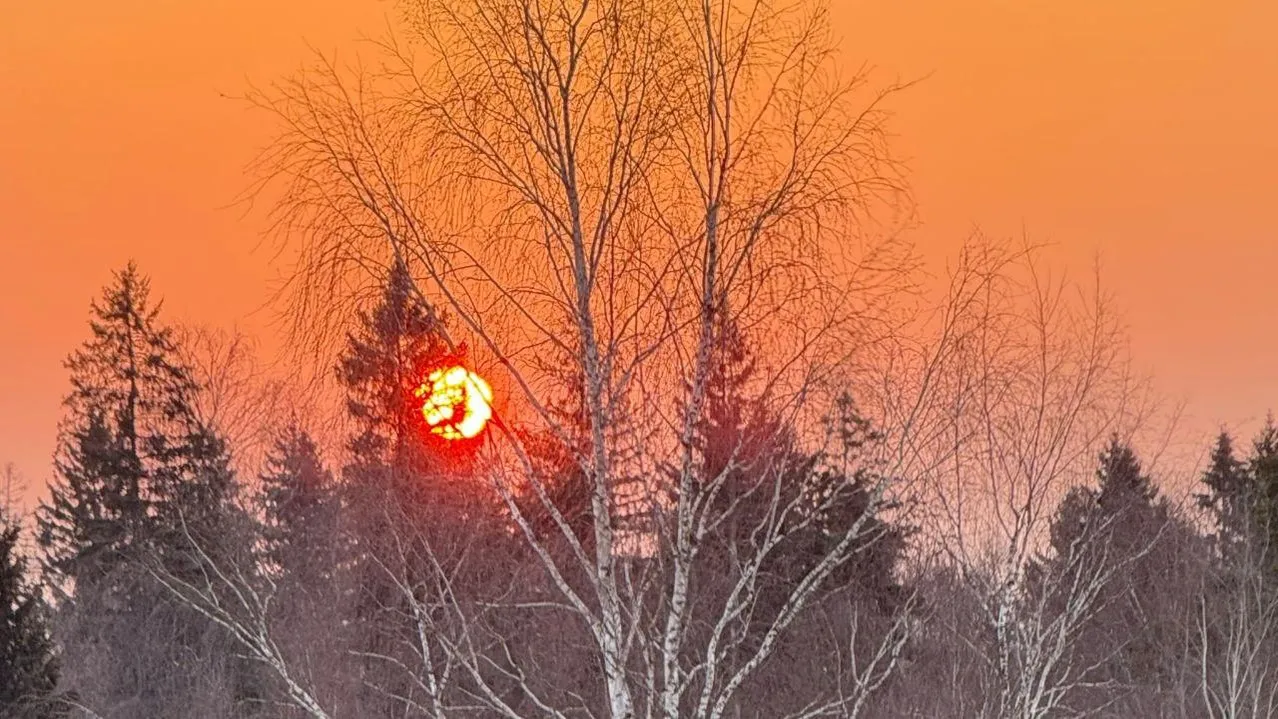 Марина Алифанова