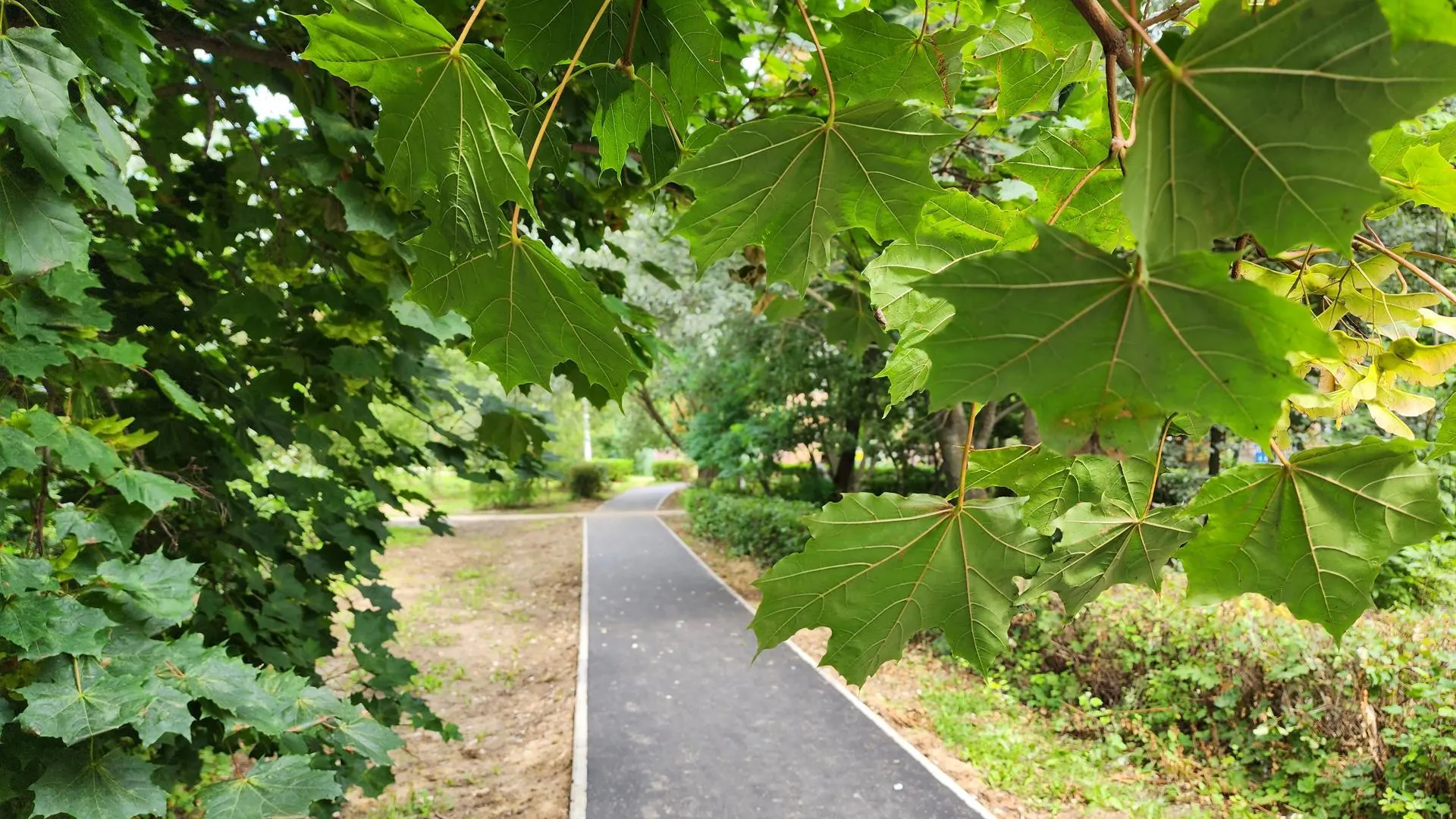 Фото: Светлана Плотникова