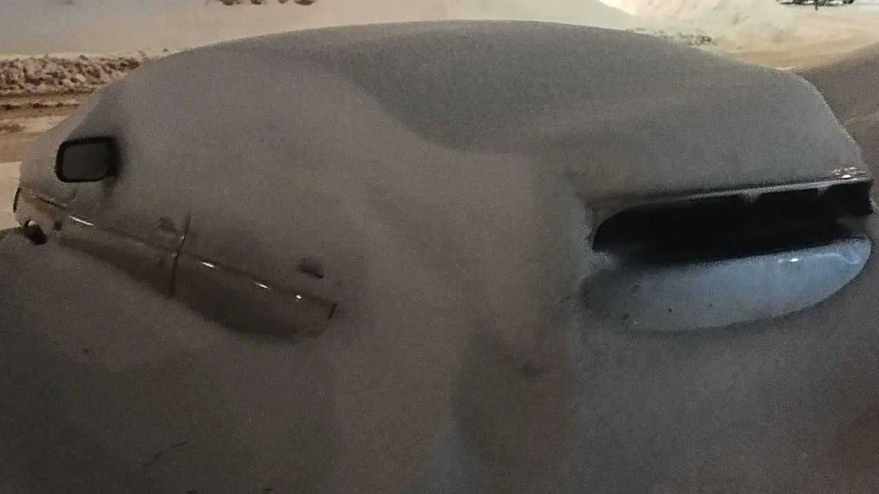 REGIONS /Наталья Пичугина