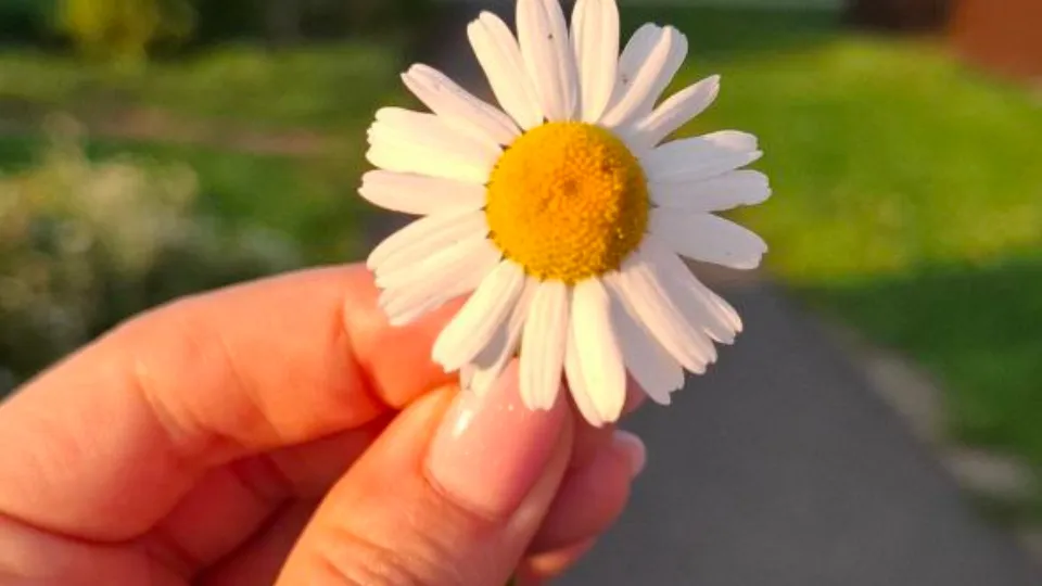 Фото: REGIONS/Юлия Габбасова