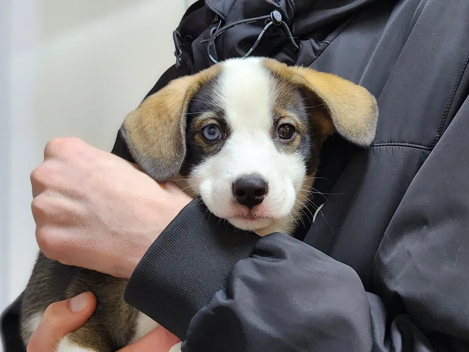 Фото: МедиаБанк Подмосковья/Валентина Максимова