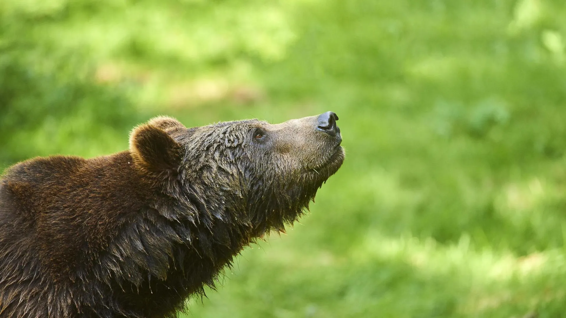 David & Micha Sheldon/http://imagebroker.com/#/search/