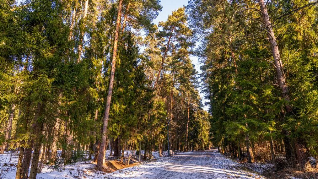 Фото: пресс-служба Министерства образования Московской области