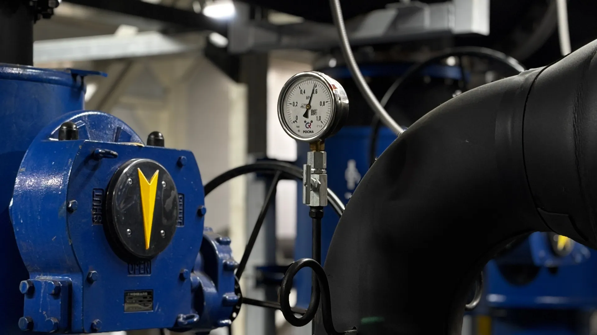 Фото: t.me/vos_glava